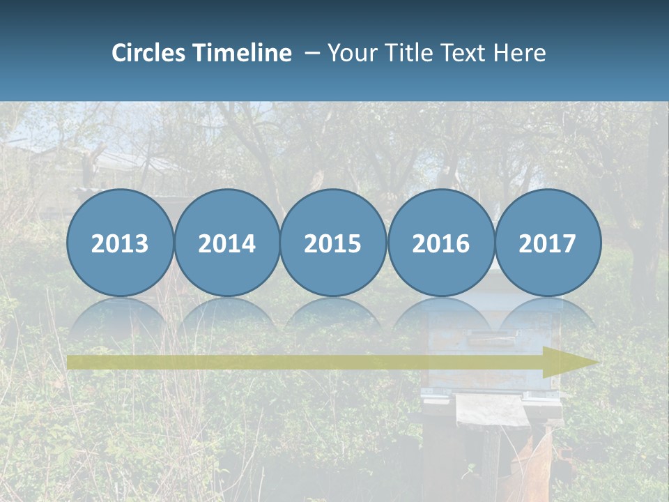 A Bunch Of Beehives In The Middle Of A Field PowerPoint Template