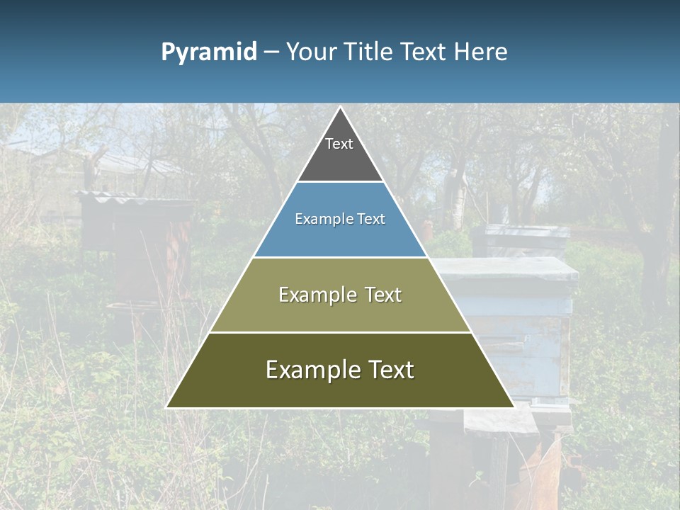 A Bunch Of Beehives In The Middle Of A Field PowerPoint Template