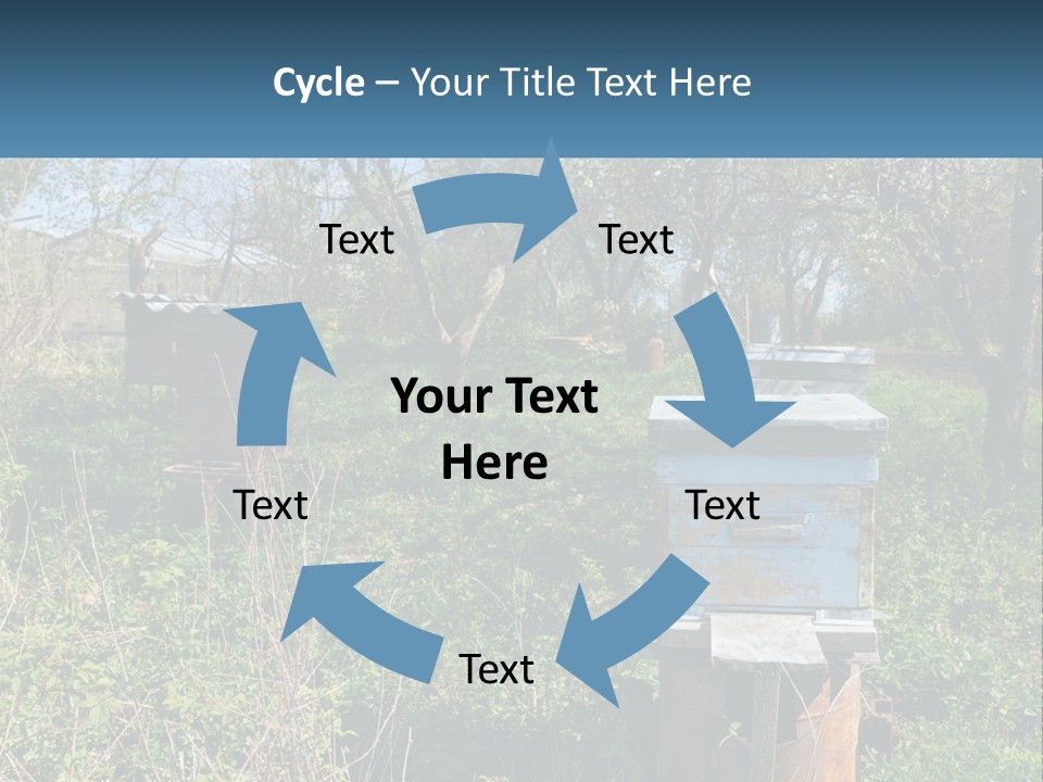 A Bunch Of Beehives In The Middle Of A Field PowerPoint Template