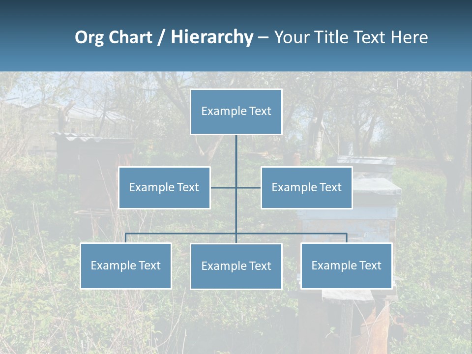A Bunch Of Beehives In The Middle Of A Field PowerPoint Template