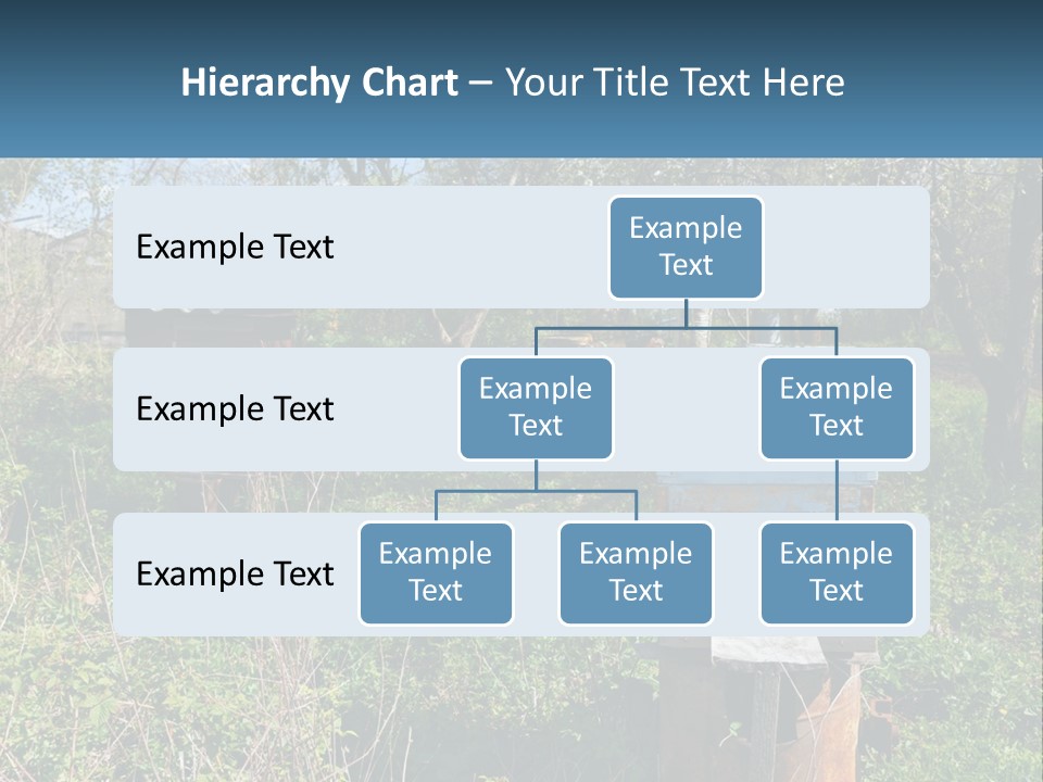 A Bunch Of Beehives In The Middle Of A Field PowerPoint Template