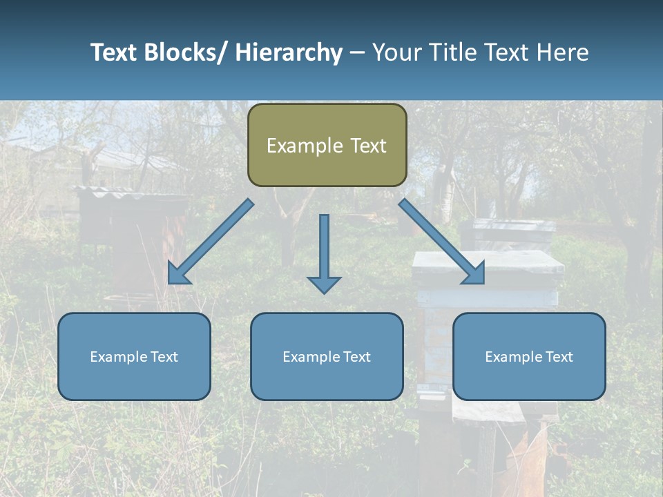 A Bunch Of Beehives In The Middle Of A Field PowerPoint Template