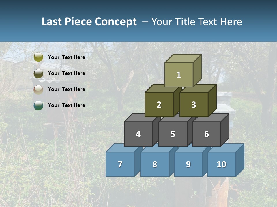 A Bunch Of Beehives In The Middle Of A Field PowerPoint Template