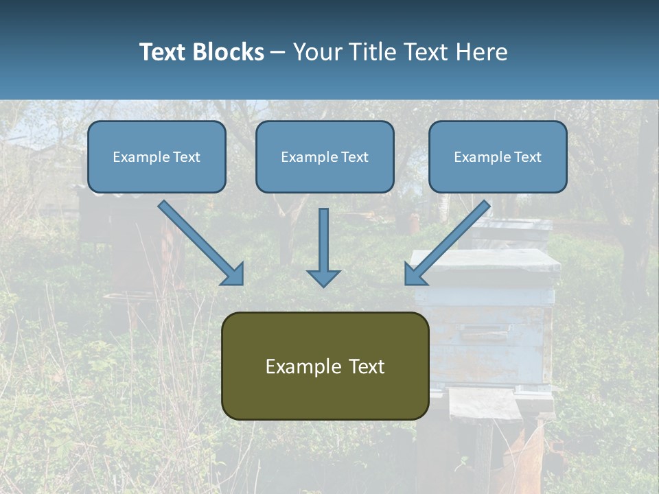 A Bunch Of Beehives In The Middle Of A Field PowerPoint Template