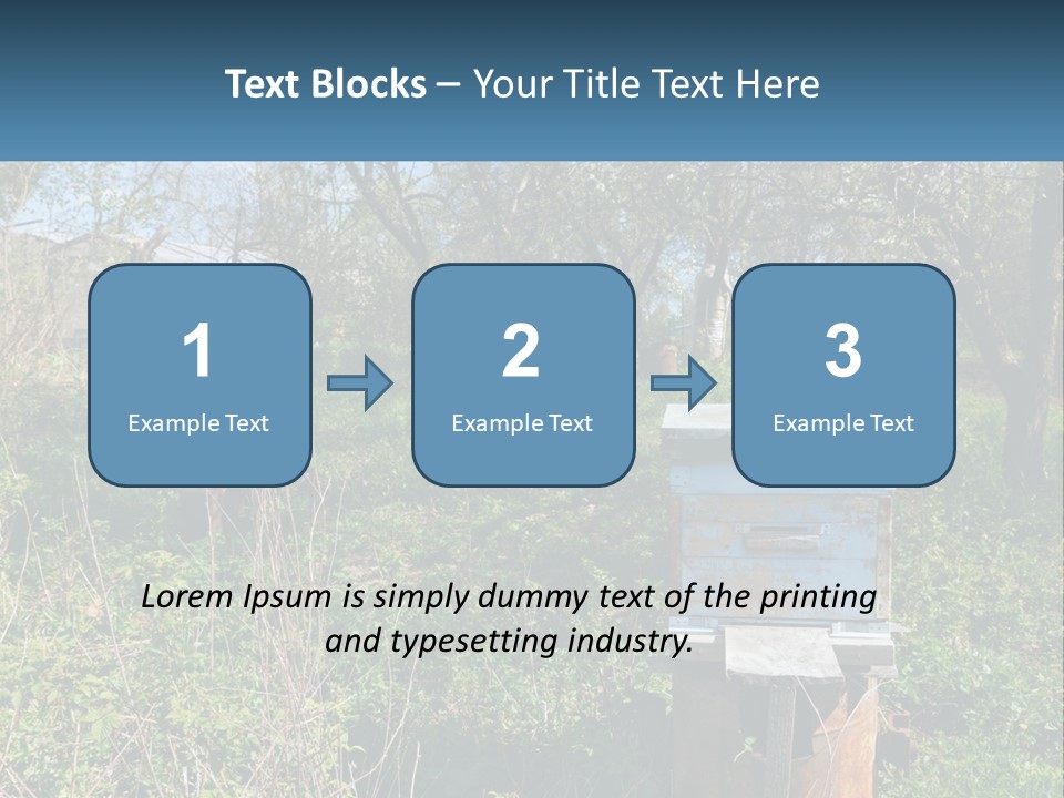 A Bunch Of Beehives In The Middle Of A Field PowerPoint Template