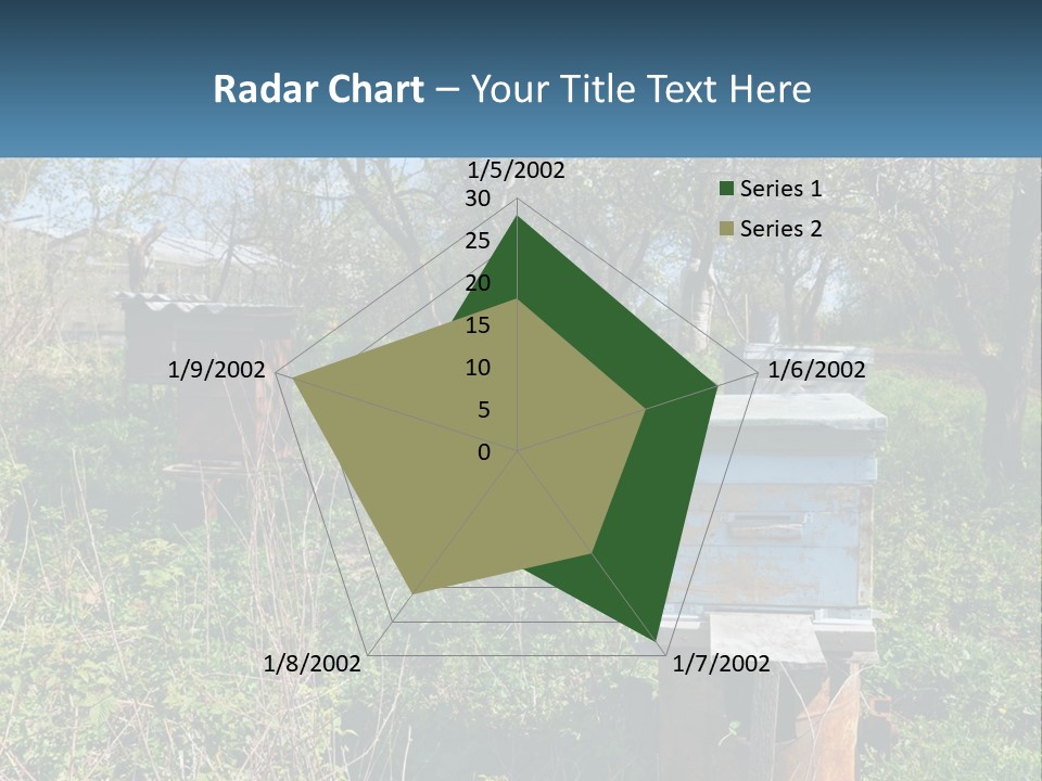 A Bunch Of Beehives In The Middle Of A Field PowerPoint Template