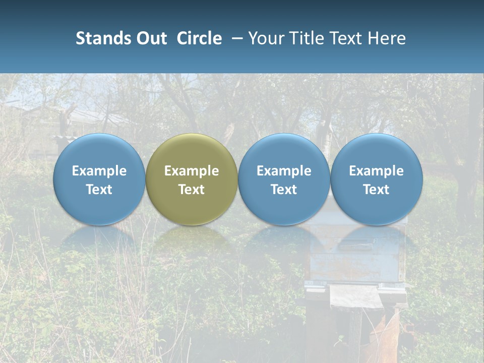 A Bunch Of Beehives In The Middle Of A Field PowerPoint Template