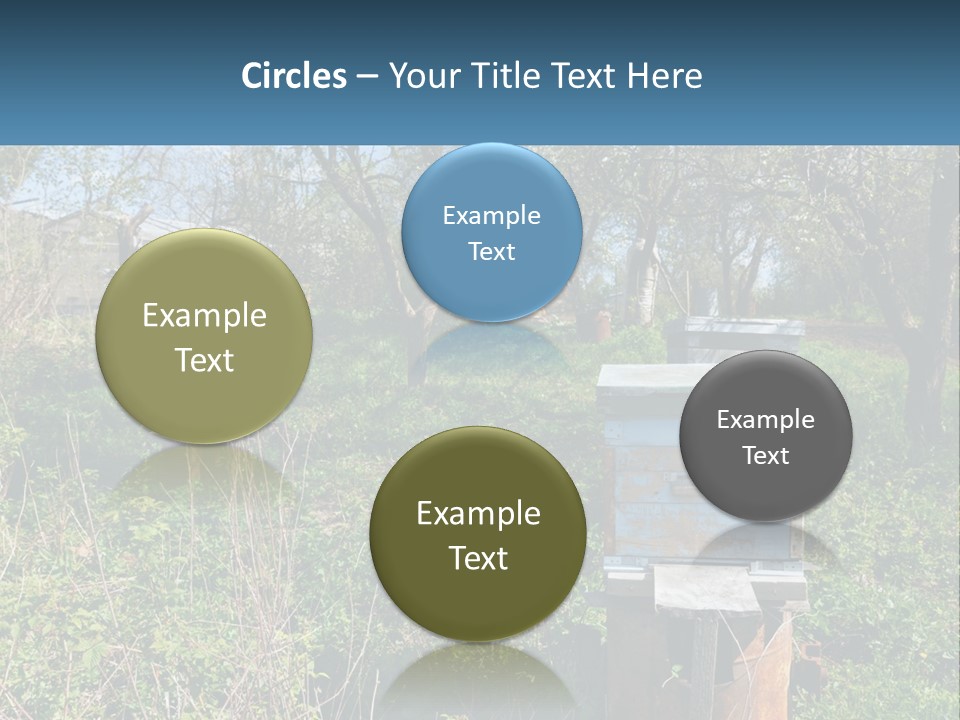 A Bunch Of Beehives In The Middle Of A Field PowerPoint Template