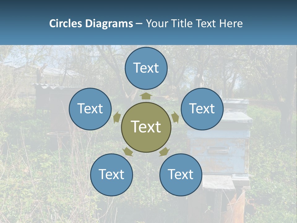 A Bunch Of Beehives In The Middle Of A Field PowerPoint Template