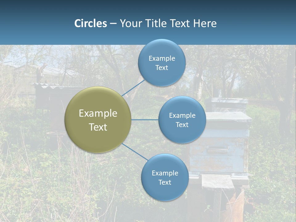 A Bunch Of Beehives In The Middle Of A Field PowerPoint Template