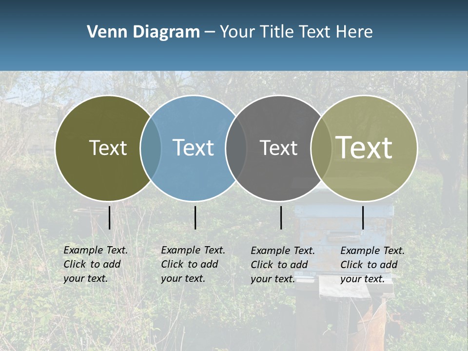 A Bunch Of Beehives In The Middle Of A Field PowerPoint Template