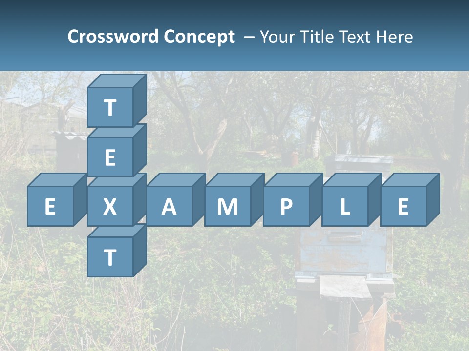 A Bunch Of Beehives In The Middle Of A Field PowerPoint Template