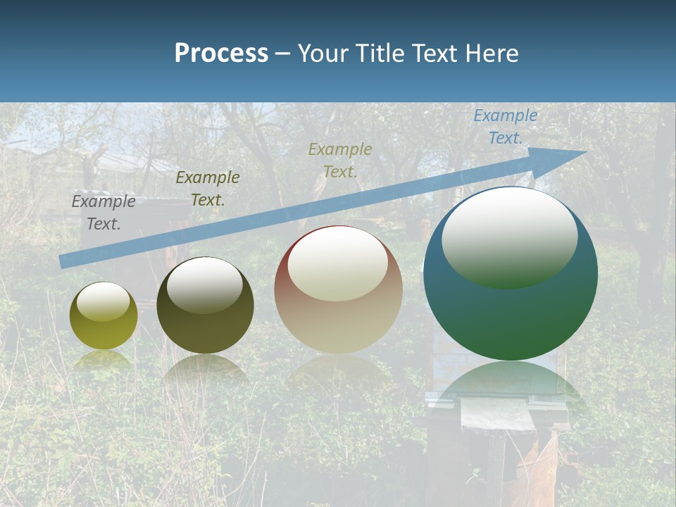 A Bunch Of Beehives In The Middle Of A Field PowerPoint Template