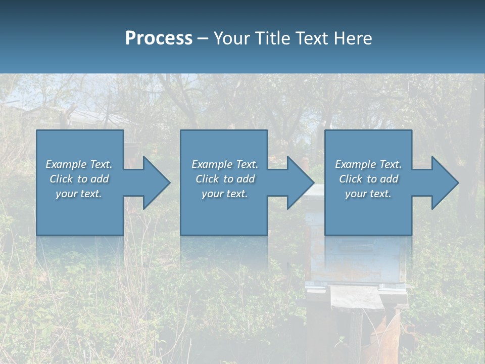 A Bunch Of Beehives In The Middle Of A Field PowerPoint Template