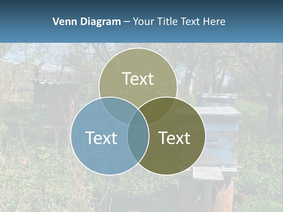 A Bunch Of Beehives In The Middle Of A Field PowerPoint Template