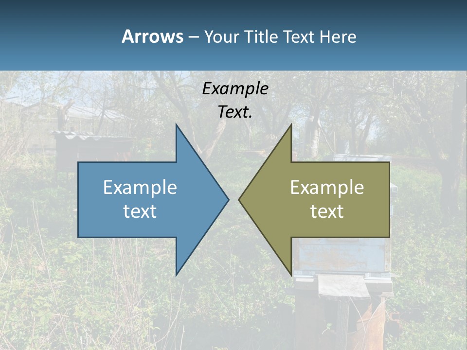 A Bunch Of Beehives In The Middle Of A Field PowerPoint Template
