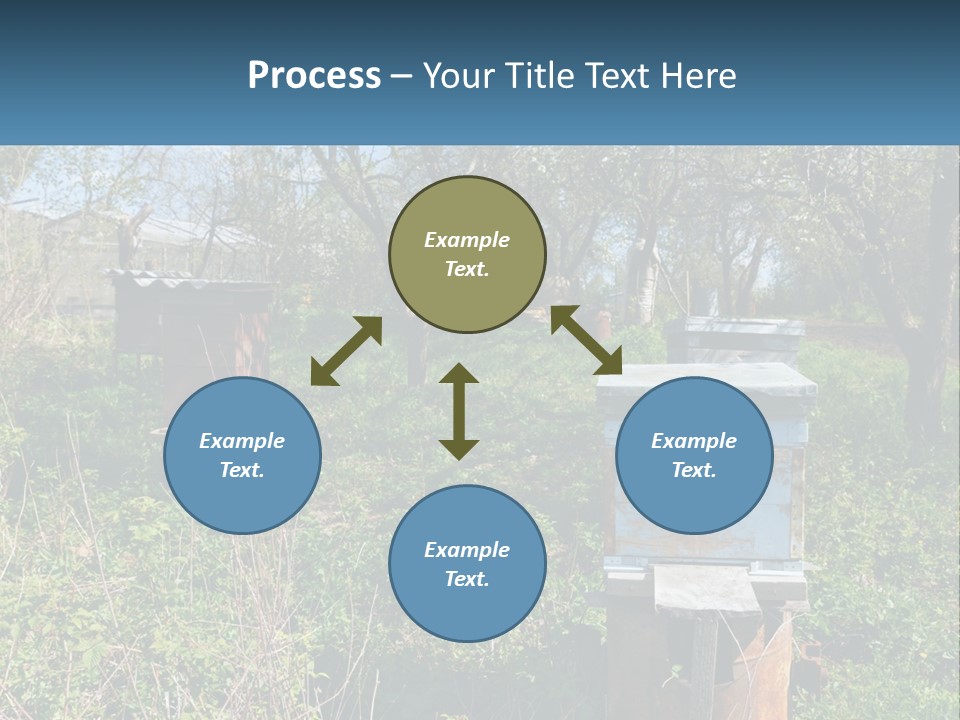 A Bunch Of Beehives In The Middle Of A Field PowerPoint Template