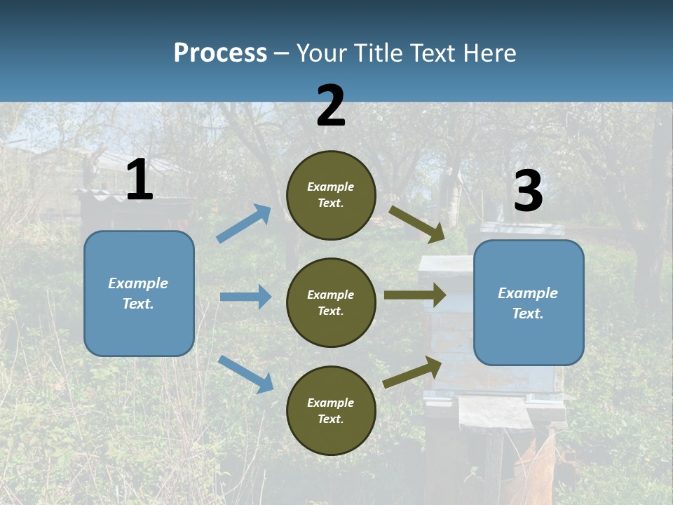A Bunch Of Beehives In The Middle Of A Field PowerPoint Template