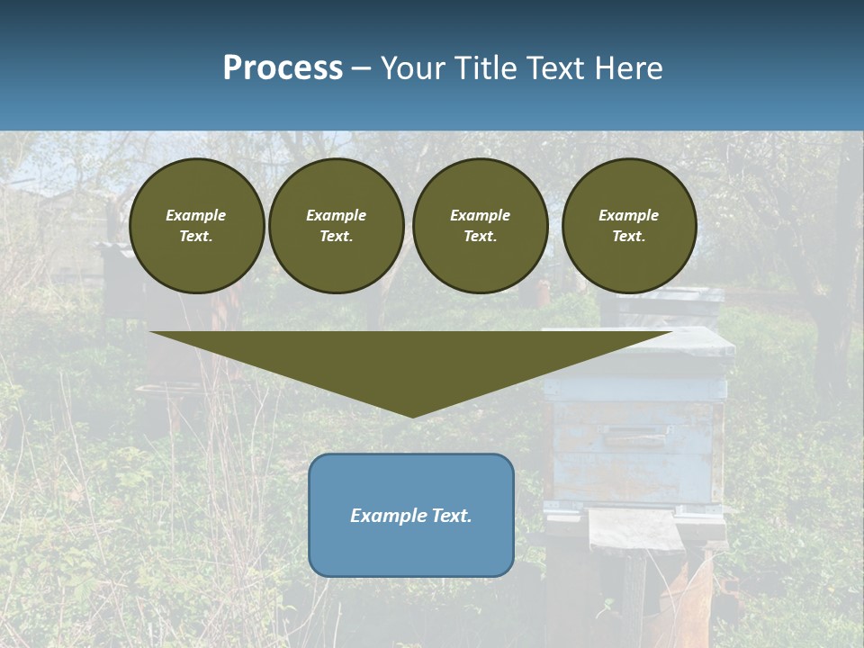 A Bunch Of Beehives In The Middle Of A Field PowerPoint Template