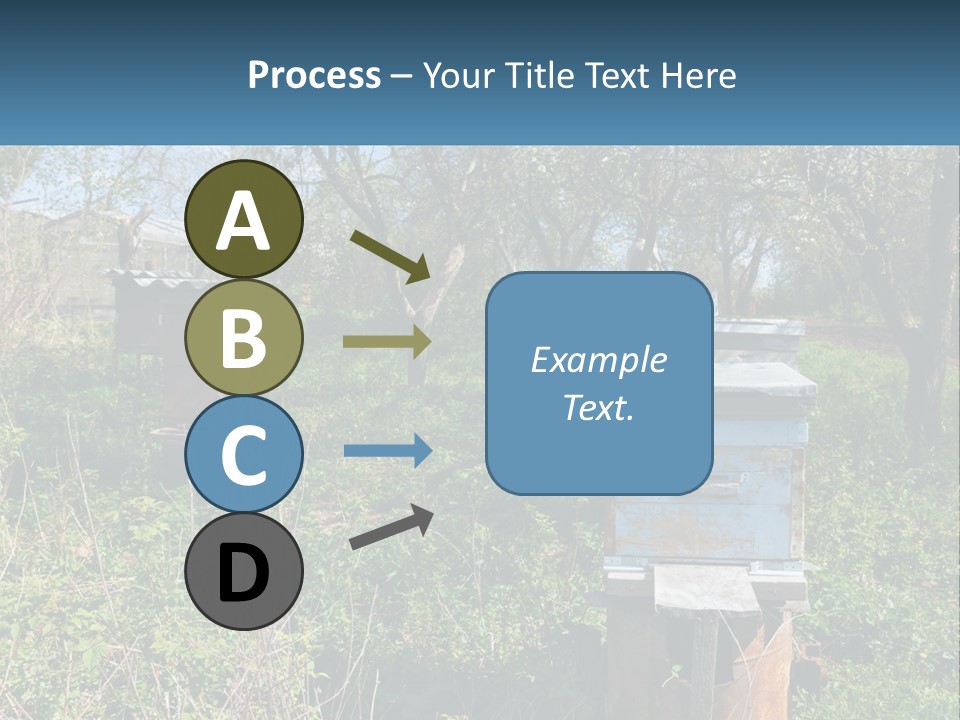 A Bunch Of Beehives In The Middle Of A Field PowerPoint Template