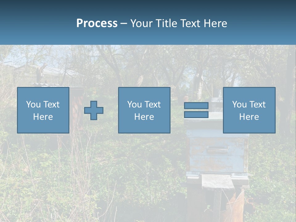 A Bunch Of Beehives In The Middle Of A Field PowerPoint Template