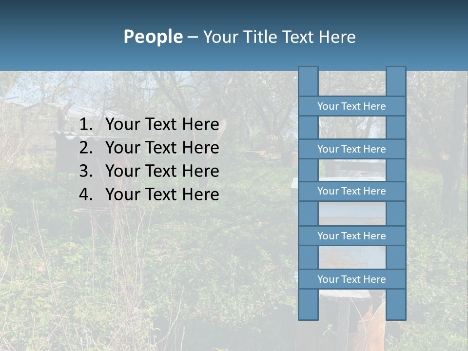 A Bunch Of Beehives In The Middle Of A Field PowerPoint Template