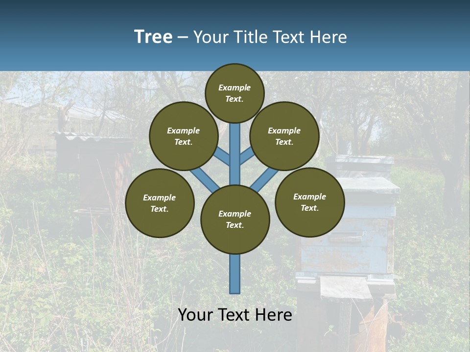 A Bunch Of Beehives In The Middle Of A Field PowerPoint Template