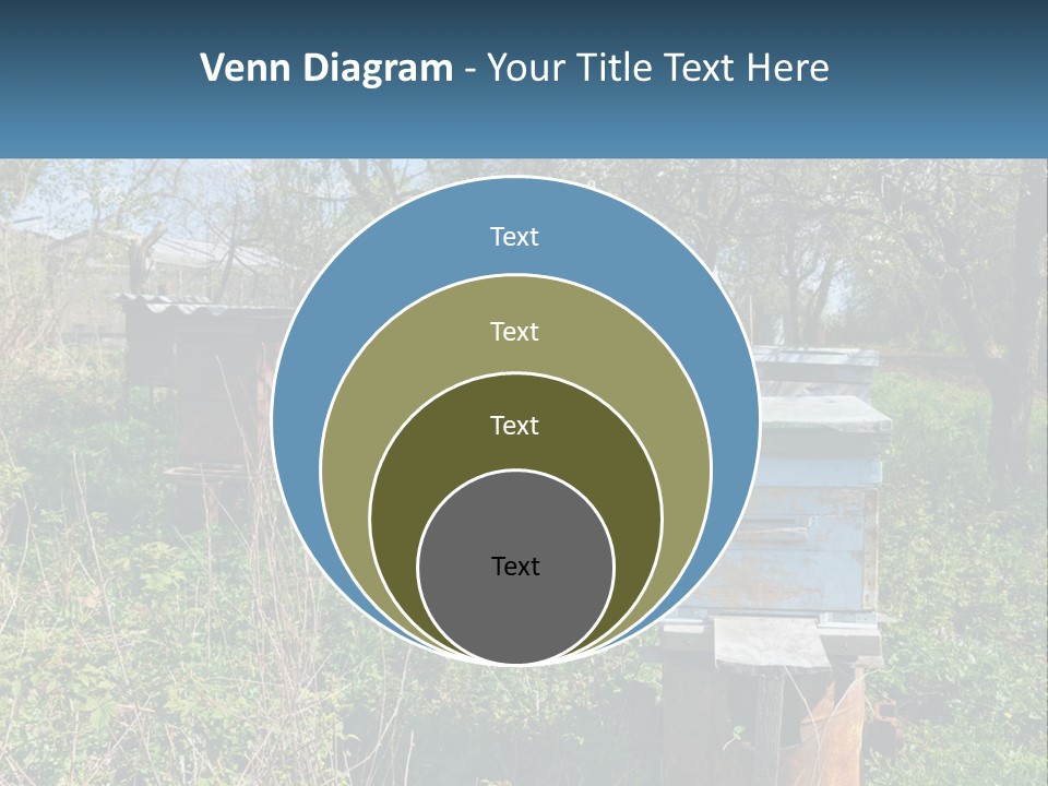 A Bunch Of Beehives In The Middle Of A Field PowerPoint Template