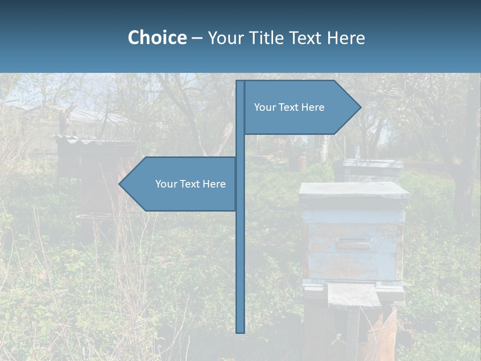 A Bunch Of Beehives In The Middle Of A Field PowerPoint Template