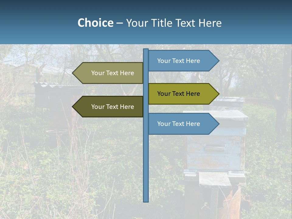 A Bunch Of Beehives In The Middle Of A Field PowerPoint Template