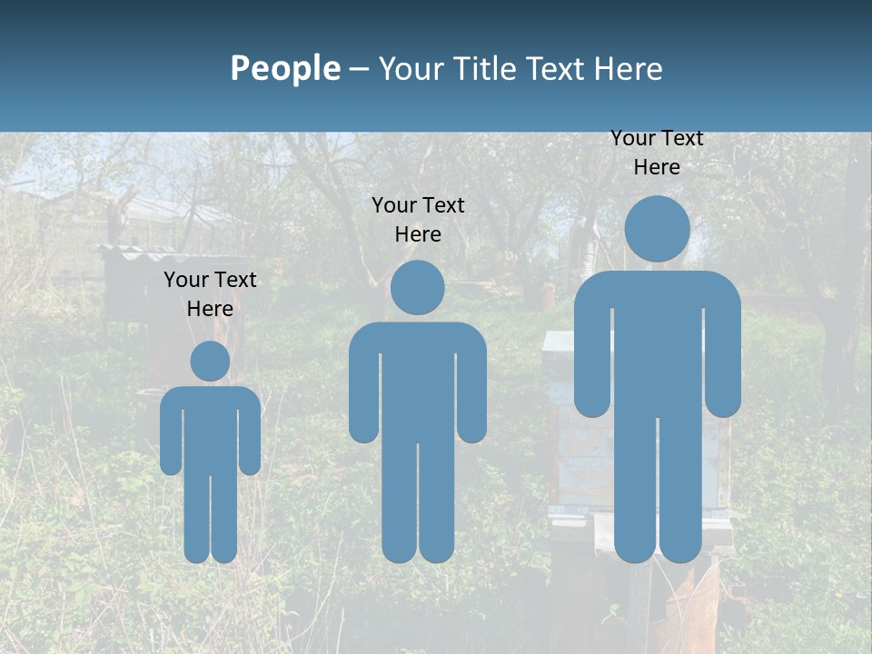 A Bunch Of Beehives In The Middle Of A Field PowerPoint Template