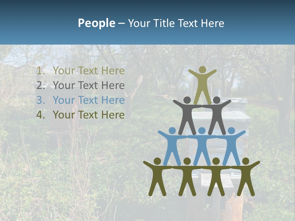 A Bunch Of Beehives In The Middle Of A Field PowerPoint Template
