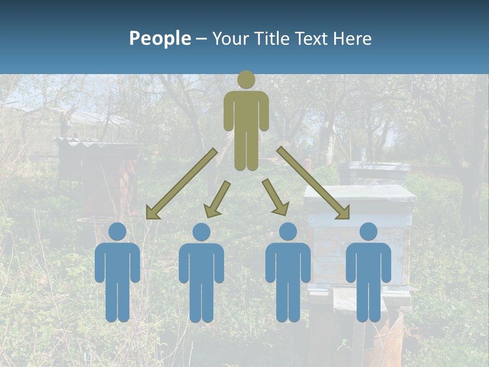 A Bunch Of Beehives In The Middle Of A Field PowerPoint Template