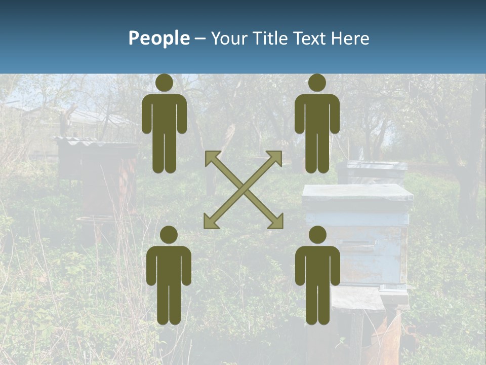 A Bunch Of Beehives In The Middle Of A Field PowerPoint Template