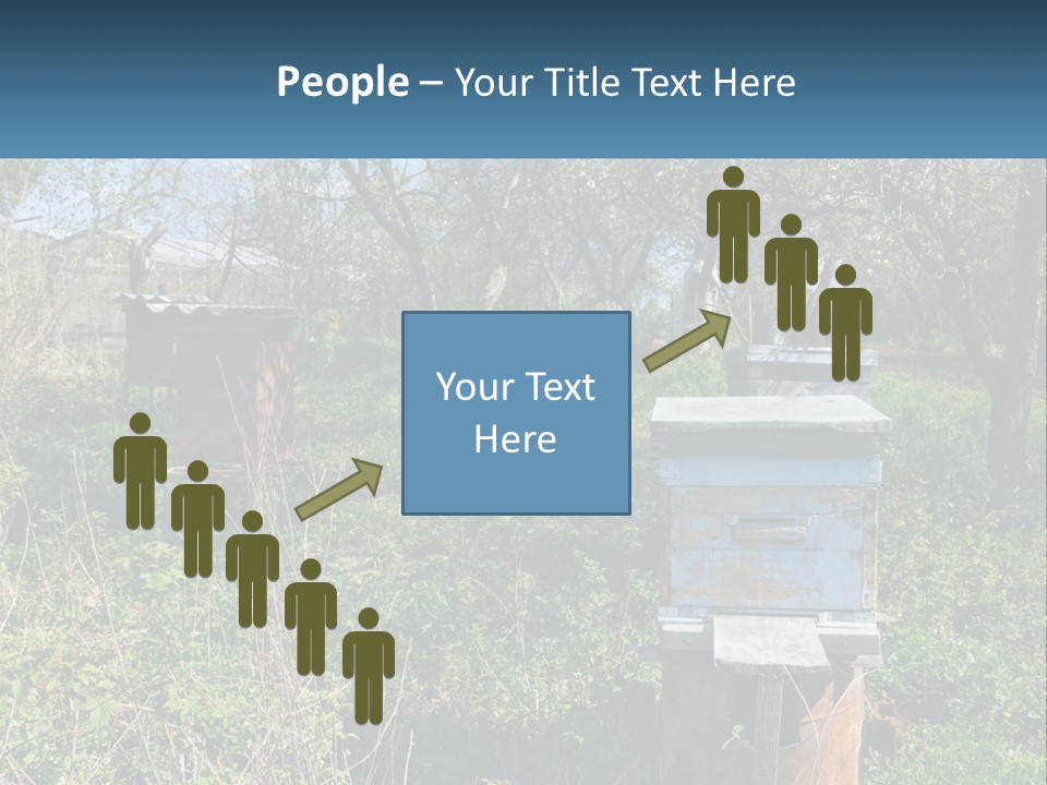 A Bunch Of Beehives In The Middle Of A Field PowerPoint Template