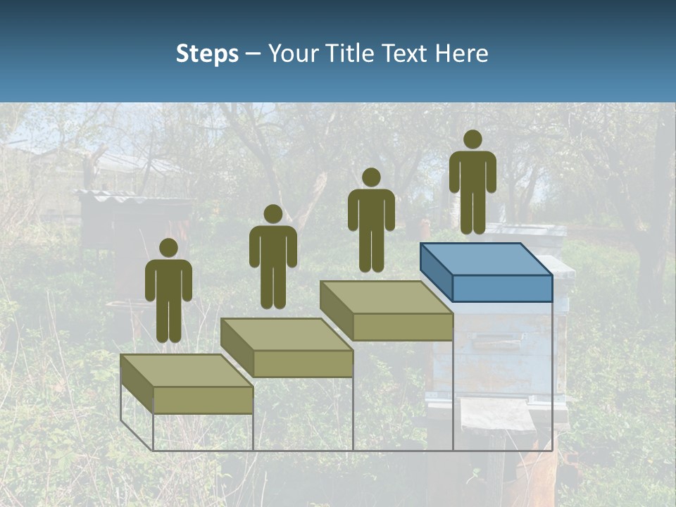 A Bunch Of Beehives In The Middle Of A Field PowerPoint Template