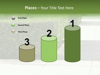 A Row Of Hedges On A Sidewalk In Front Of A Building PowerPoint Template