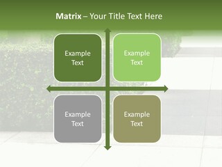 A Row Of Hedges On A Sidewalk In Front Of A Building PowerPoint Template