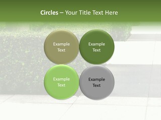 A Row Of Hedges On A Sidewalk In Front Of A Building PowerPoint Template