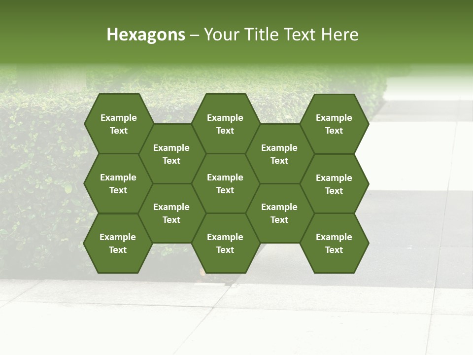 A Row Of Hedges On A Sidewalk In Front Of A Building PowerPoint Template