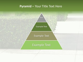 A Row Of Hedges On A Sidewalk In Front Of A Building PowerPoint Template