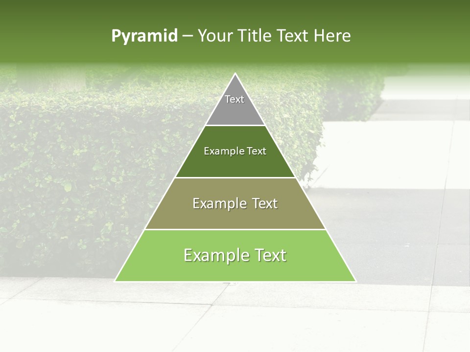 A Row Of Hedges On A Sidewalk In Front Of A Building PowerPoint Template