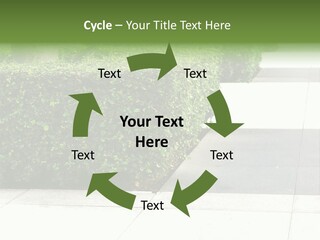 A Row Of Hedges On A Sidewalk In Front Of A Building PowerPoint Template