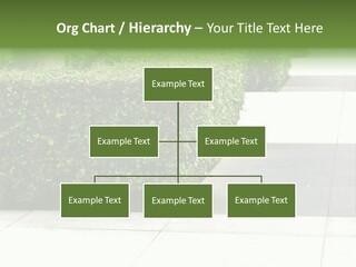 A Row Of Hedges On A Sidewalk In Front Of A Building PowerPoint Template