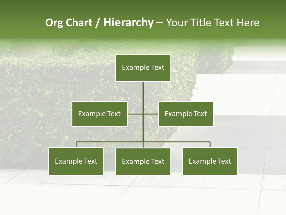 A Row Of Hedges On A Sidewalk In Front Of A Building PowerPoint Template