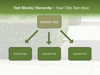 A Row Of Hedges On A Sidewalk In Front Of A Building PowerPoint Template