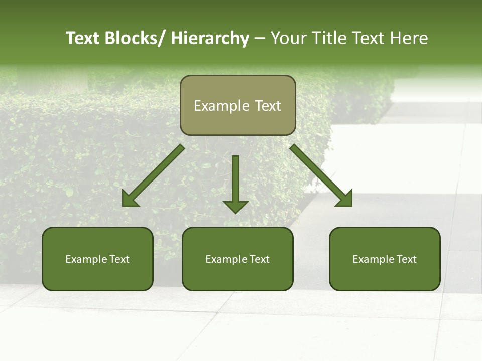 A Row Of Hedges On A Sidewalk In Front Of A Building PowerPoint Template