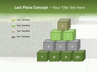 A Row Of Hedges On A Sidewalk In Front Of A Building PowerPoint Template