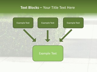 A Row Of Hedges On A Sidewalk In Front Of A Building PowerPoint Template