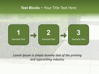 A Row Of Hedges On A Sidewalk In Front Of A Building PowerPoint Template